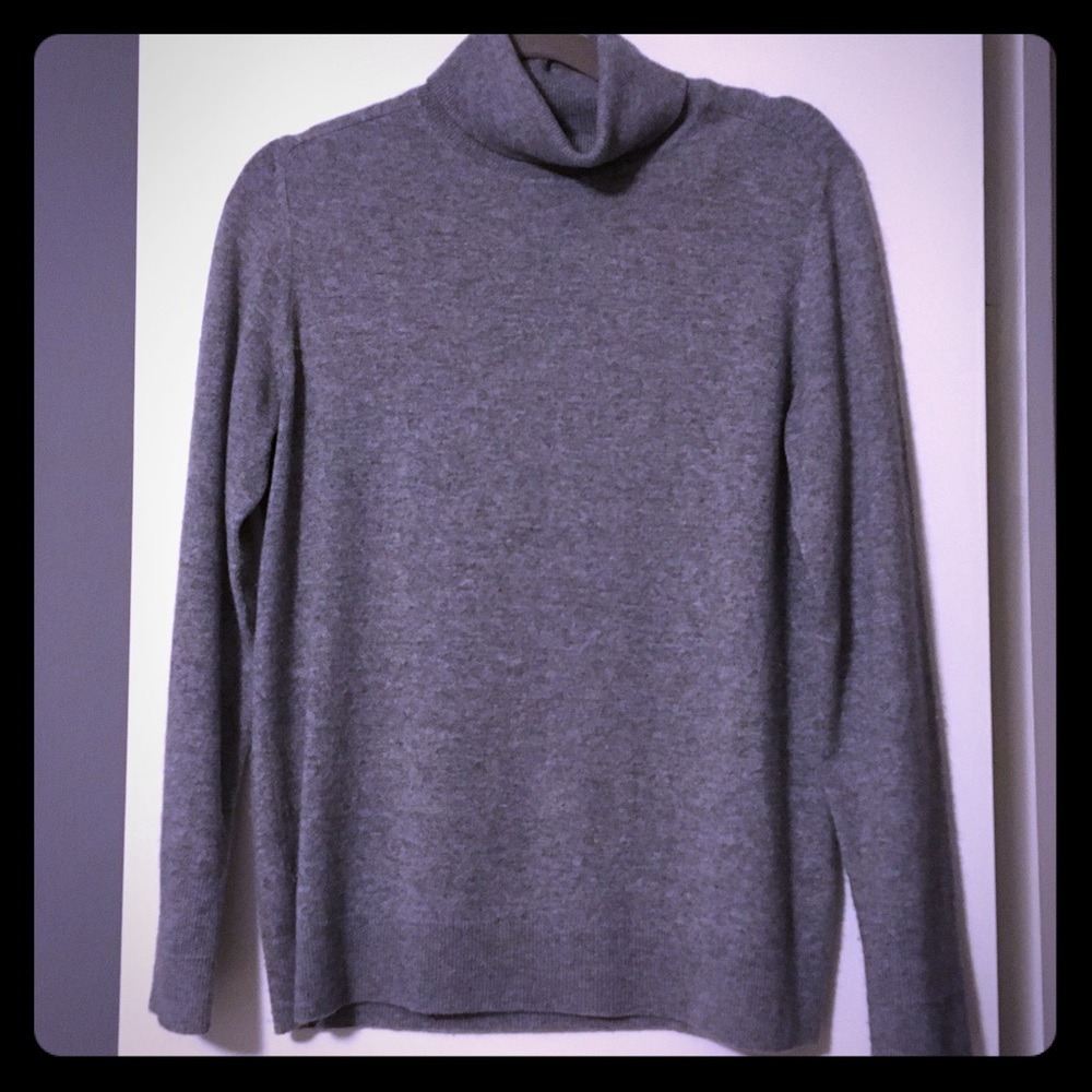 Everlane cashmere turtleneck sweater